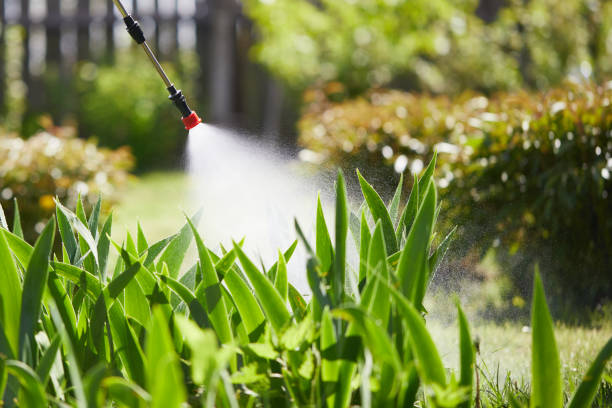Tamper-Resistant Bait Stations for Rodents in Highland Park
