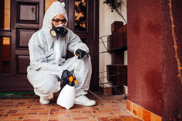 Attic and Crawl Space Rodent Treatment in Highland Park