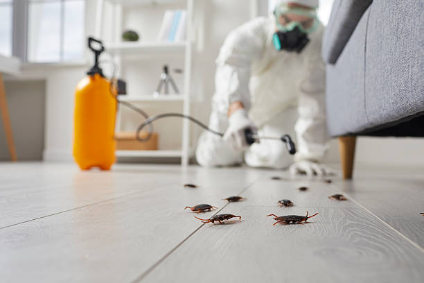 Commercial Rodent Management in Highland Park